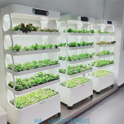 Sistema de cultivo automatizad - Home Automation System Diy avaliação e preço